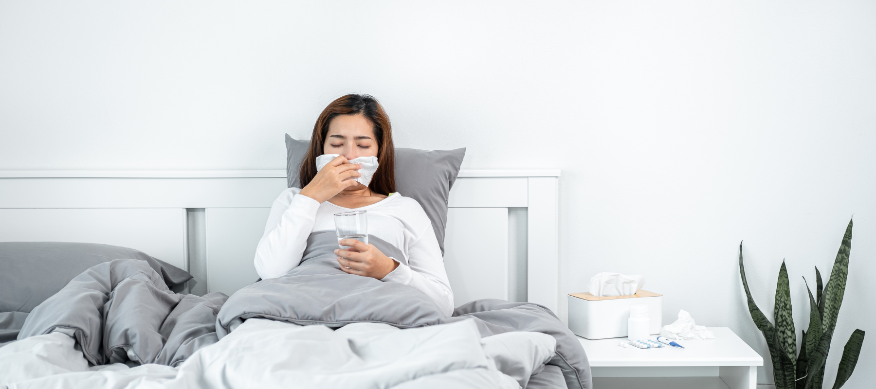 The connection between allergens & bedding