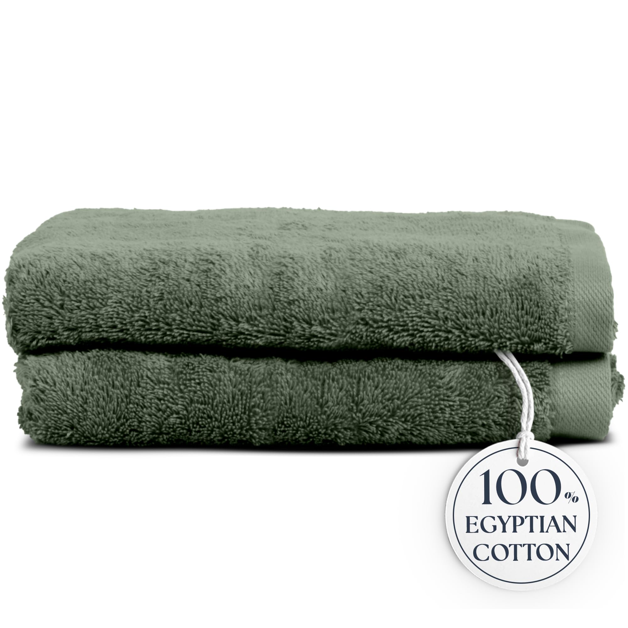 Home Decorators Collection Egyptian Cotton Sage Green Hand Towel
